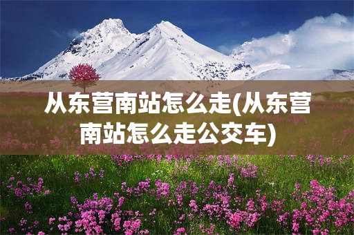 从东营南站怎么走(从东营南站怎么走公交车)