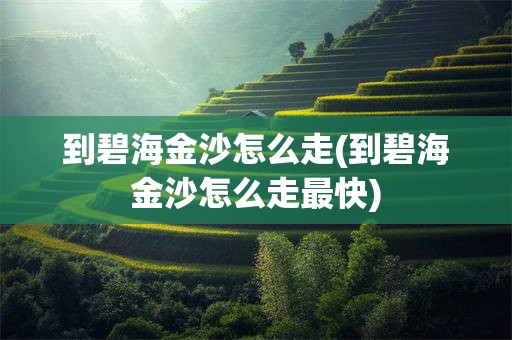 到碧海金沙怎么走(到碧海金沙怎么走最快)