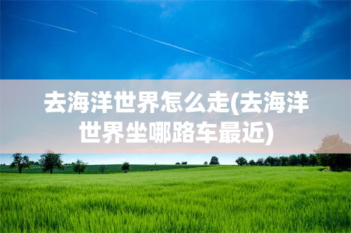 去海洋世界怎么走(去海洋世界坐哪路车最近)