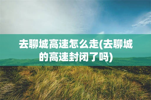 去聊城高速怎么走(去聊城的高速封闭了吗)