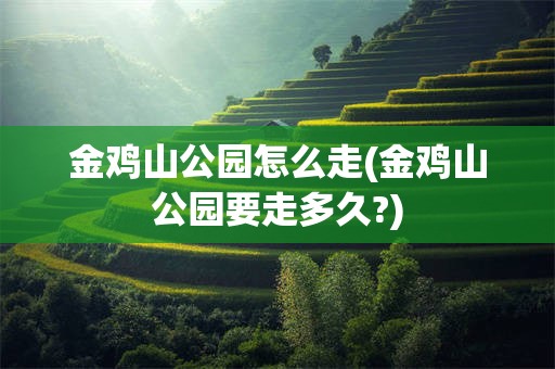 金鸡山公园怎么走(金鸡山公园要走多久?)