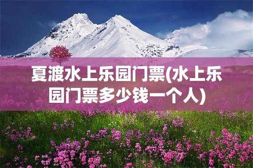 夏渡水上乐园门票(水上乐园门票多少钱一个人)