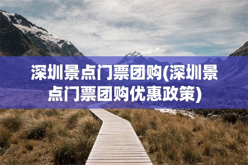深圳景点门票团购(深圳景点门票团购优惠政策)