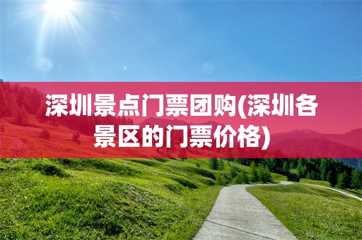 深圳景点门票团购(深圳各景区的门票价格)