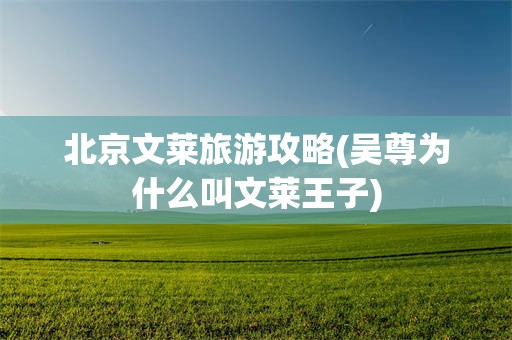 北京文莱旅游攻略(吴尊为什么叫文莱王子)