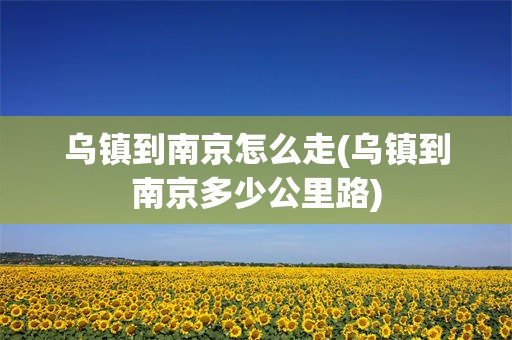 乌镇到南京怎么走(乌镇到南京多少公里路)