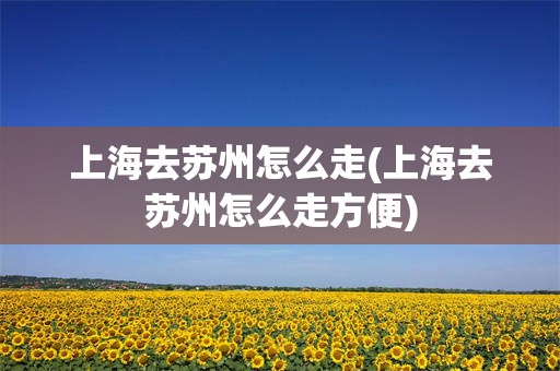 上海去苏州怎么走(上海去苏州怎么走方便)