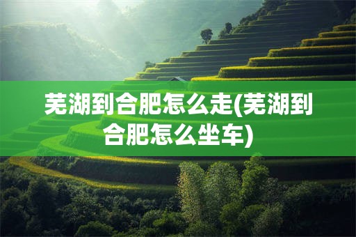 芜湖到合肥怎么走(芜湖到合肥怎么坐车)