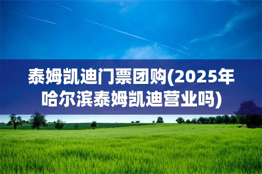 泰姆凯迪门票团购(2025年哈尔滨泰姆凯迪营业吗)