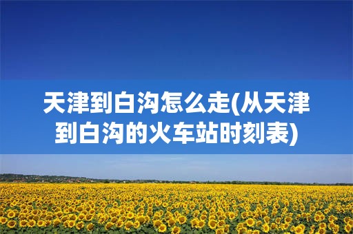 天津到白沟怎么走(从天津到白沟的火车站时刻表)