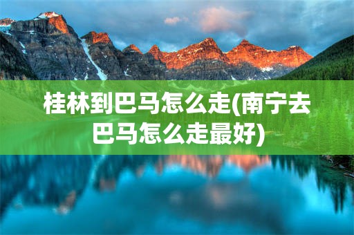 桂林到巴马怎么走(南宁去巴马怎么走最好)