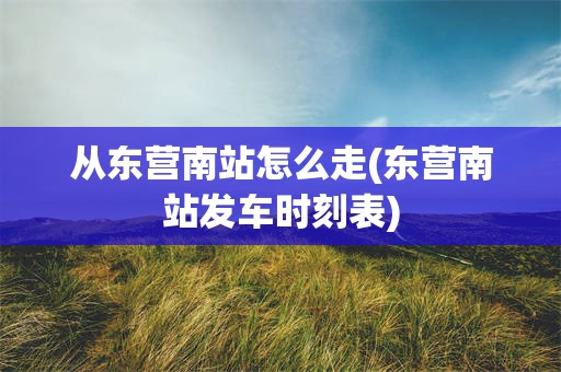 从东营南站怎么走(东营南站发车时刻表)