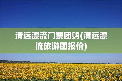 清远漂流门票团购(清远漂流旅游团报价)