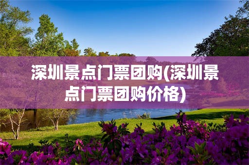 深圳景点门票团购(深圳景点门票团购价格)