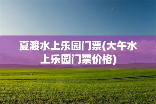 夏渡水上乐园门票(大午水上乐园门票价格)