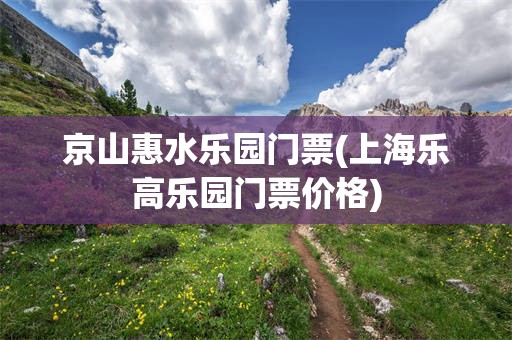 京山惠水乐园门票(上海乐高乐园门票价格)