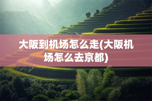 大阪到机场怎么走(大阪机场怎么去京都)
