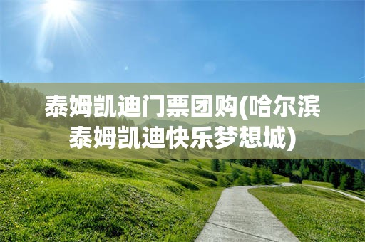 泰姆凯迪门票团购(哈尔滨泰姆凯迪快乐梦想城)