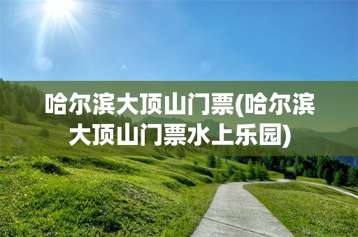 哈尔滨大顶山门票(哈尔滨大顶山门票水上乐园)