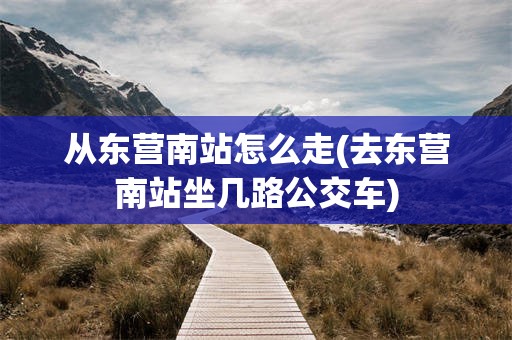 从东营南站怎么走(去东营南站坐几路公交车)
