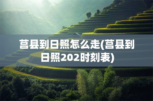 莒县到日照怎么走(莒县到日照202时刻表)