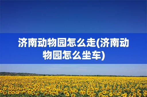 济南动物园怎么走(济南动物园怎么坐车)