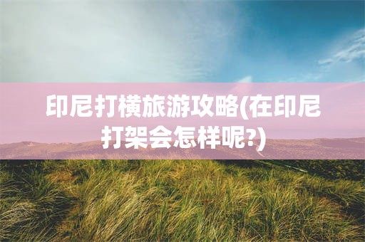 印尼打横旅游攻略(在印尼打架会怎样呢?)