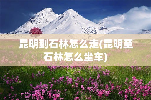 昆明到石林怎么走(昆明至石林怎么坐车)