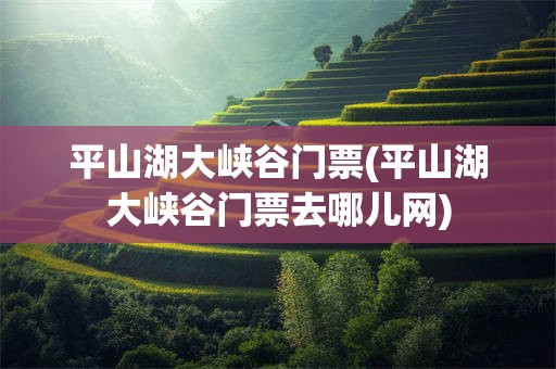 平山湖大峡谷门票(平山湖大峡谷门票去哪儿网)