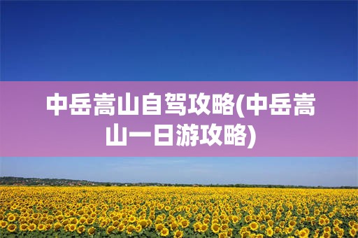 中岳嵩山自驾攻略(中岳嵩山一日游攻略)