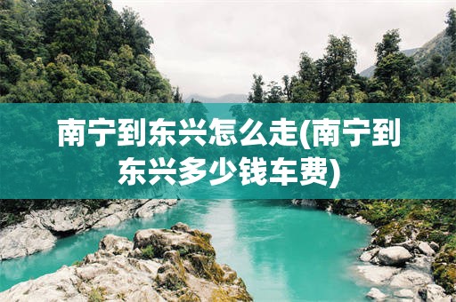 南宁到东兴怎么走(南宁到东兴多少钱车费)
