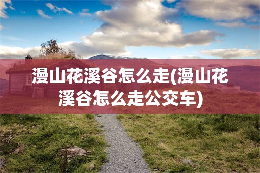 漫山花溪谷怎么走(漫山花溪谷怎么走公交车)