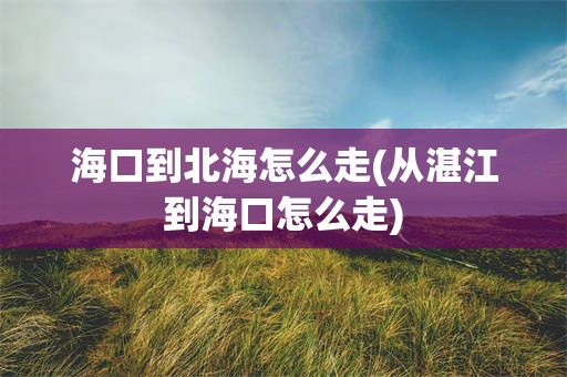 海口到北海怎么走(从湛江到海口怎么走)
