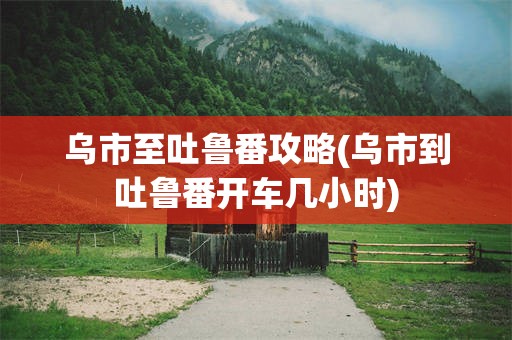 乌市至吐鲁番攻略(乌市到吐鲁番开车几小时)