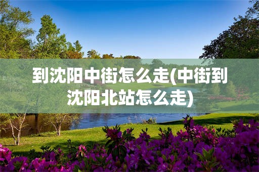 到沈阳中街怎么走(中街到沈阳北站怎么走)