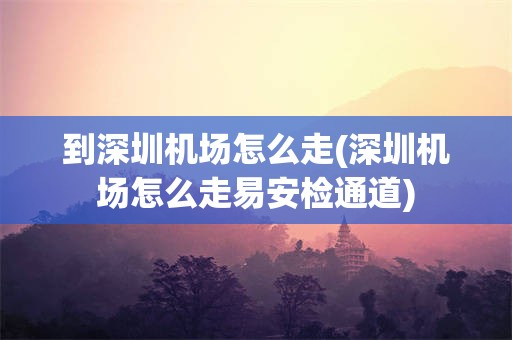 到深圳机场怎么走(深圳机场怎么走易安检通道)