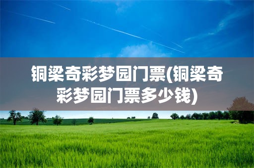 铜梁奇彩梦园门票(铜梁奇彩梦园门票多少钱)