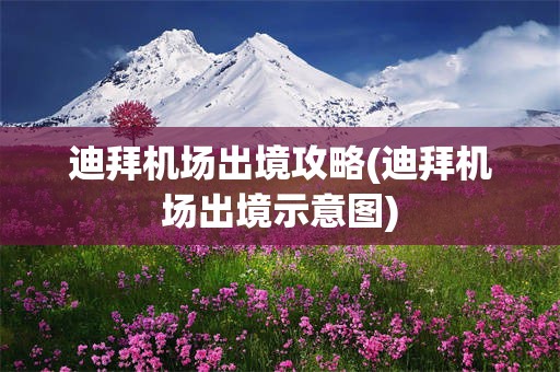 迪拜机场出境攻略(迪拜机场出境示意图)
