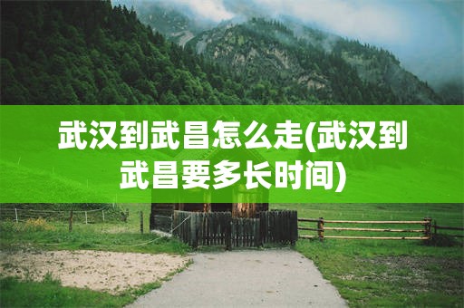 武汉到武昌怎么走(武汉到武昌要多长时间)