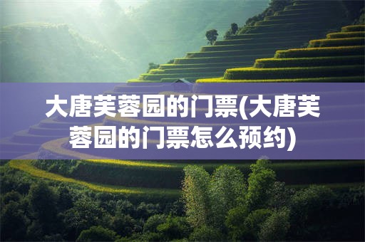 大唐芙蓉园的门票(大唐芙蓉园的门票怎么预约)