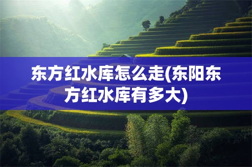 东方红水库怎么走(东阳东方红水库有多大)