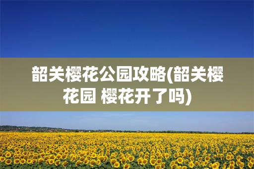 韶关樱花公园攻略(韶关樱花园 樱花开了吗)