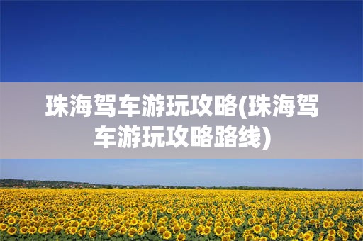珠海驾车游玩攻略(珠海驾车游玩攻略路线)