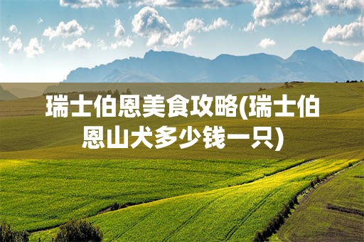 瑞士伯恩美食攻略(瑞士伯恩山犬多少钱一只)