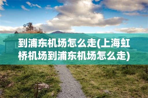 到浦东机场怎么走(上海虹桥机场到浦东机场怎么走)