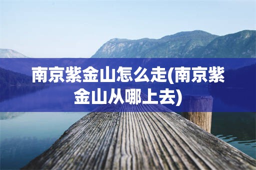 南京紫金山怎么走(南京紫金山从哪上去)