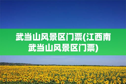 武当山风景区门票(江西南武当山风景区门票)
