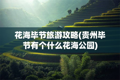 花海毕节旅游攻略(贵州毕节有个什么花海公园)