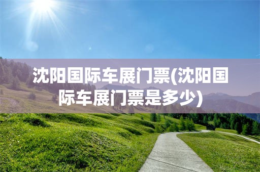 沈阳国际车展门票(沈阳国际车展门票是多少)