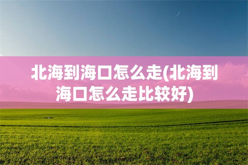 北海到海口怎么走(北海到海口怎么走比较好)